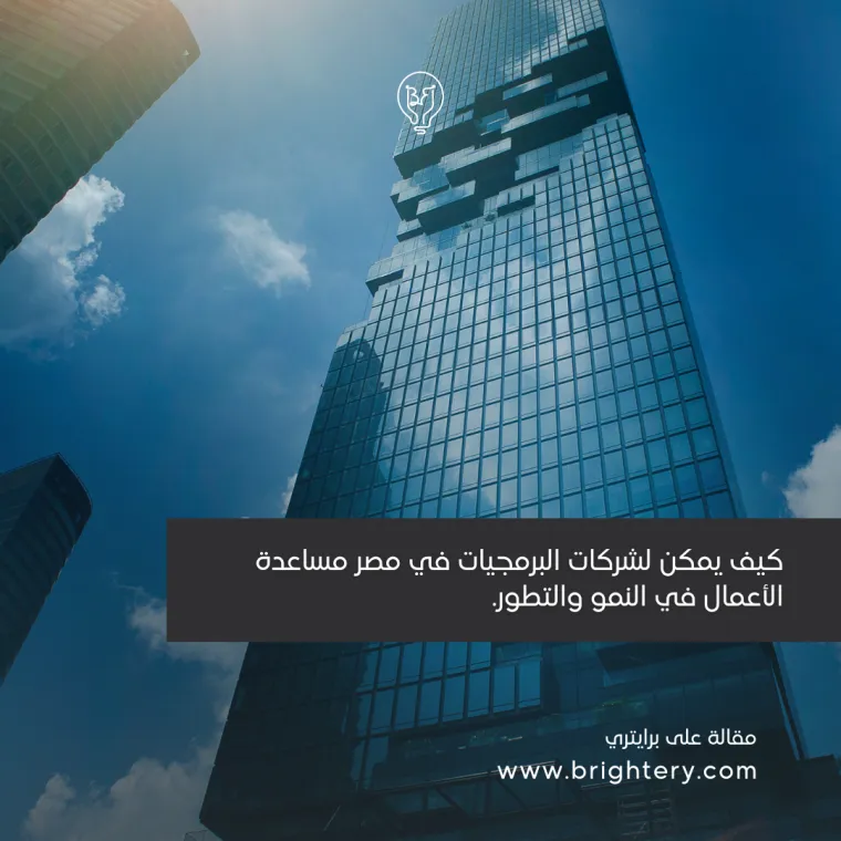 الشركات البرمجيات في مصر