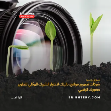 Website development