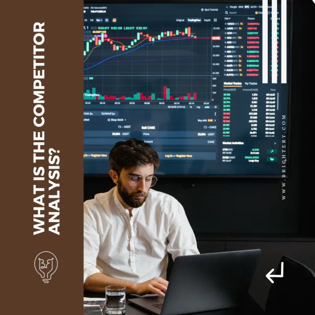 What is the competitor analysis?