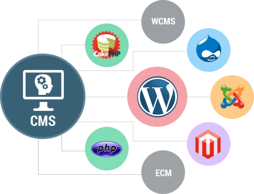 Web Content Management systems & Examples