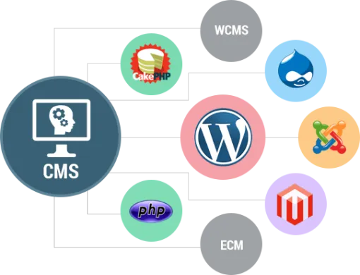 Web Content Management systems & Examples
