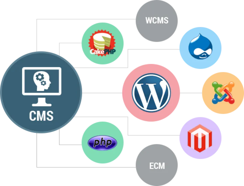 Web Content Management systems & Examples