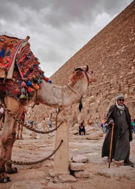 The best Advertising agency in the List of advertising agencies in Egypt