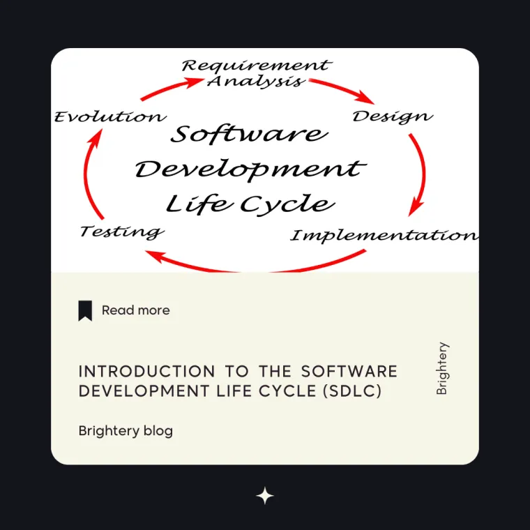 Software development life cycle