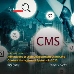Advantages of web development using cms content management systems in 2025