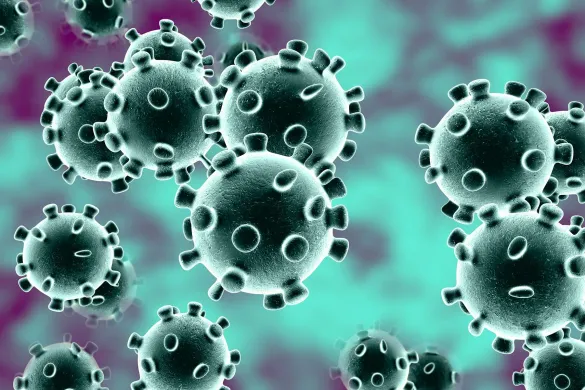 Brightery decides to work from home online because of coronavirus disease