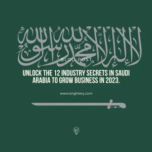Unlock the 12 industry secrets in Saudi Arabia to grow business in 2023.