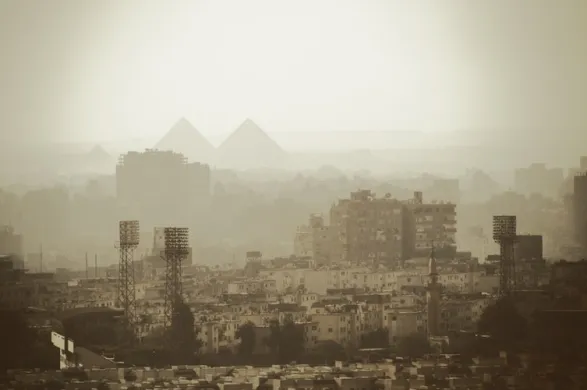 اخبار مصر مشتريات التجارة الالكترونية 2020