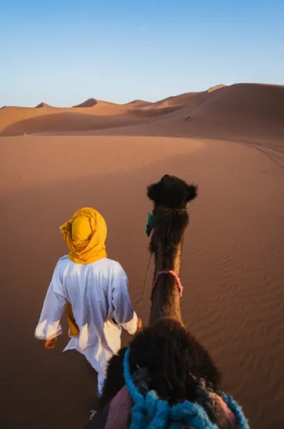 أفضل شركة تسويق الكتروني بمصر