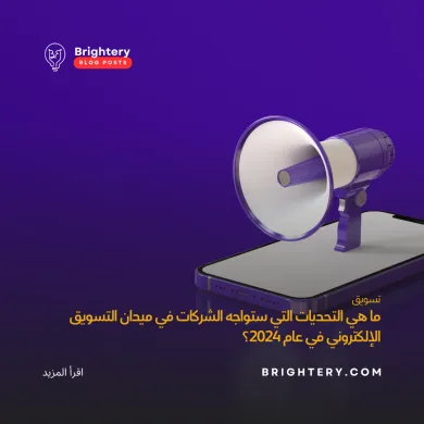 ميدان التسويق الإلكتروني