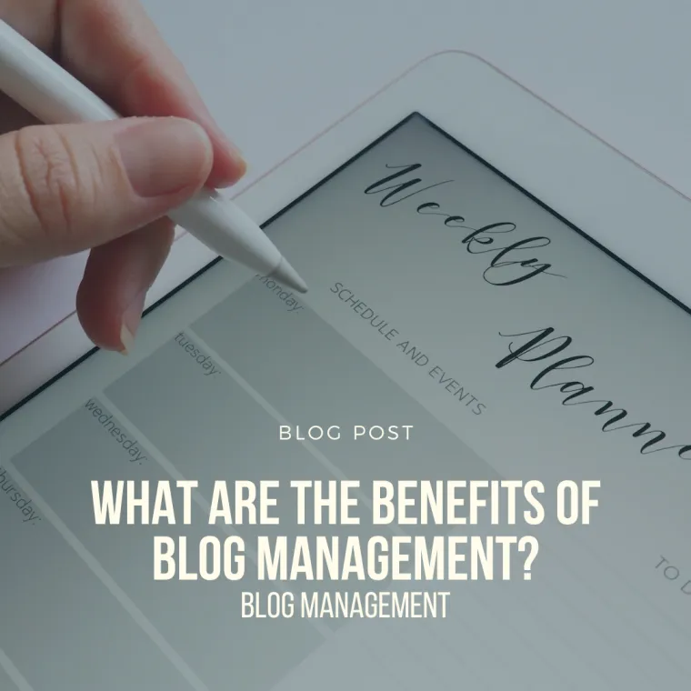 Blog management