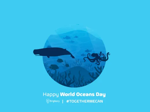 Happy World Oceans Day - Keep the oceans clean