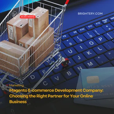 Magento E-commerce Development Company: Choosing the Right Partner for Your Online Business