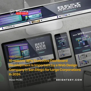 10 reasons Why Executive Dashboard Development Is Important by a Web Design Company in San Diego for Large Corporations In 2024