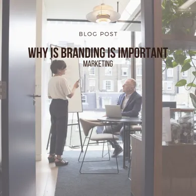 How Can I Find the Best Marketing Agency for My Business?