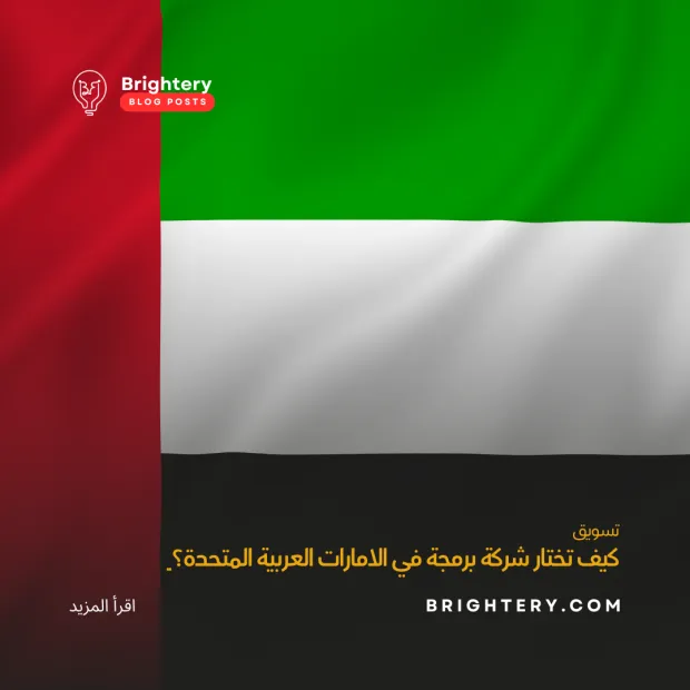 كيف تختار شركة برمجة في الامارات العربية المتحدة؟