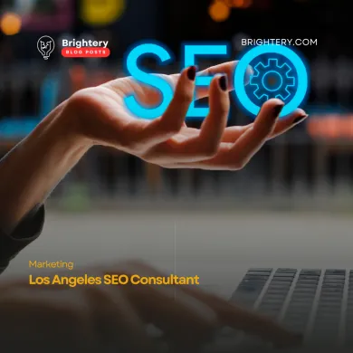 Los Angeles SEO Consultant