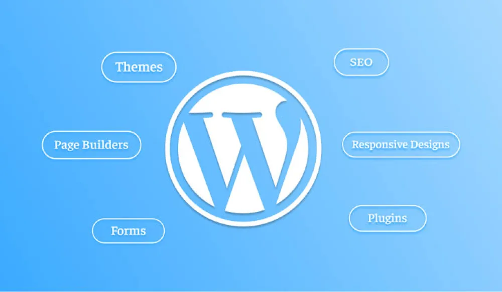 WordPress Development Company | Custom Websites, Plugins & WooCommerce