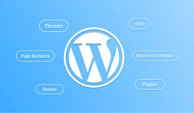 WordPress Development Company | Custom Websites, Plugins & WooCommerce
