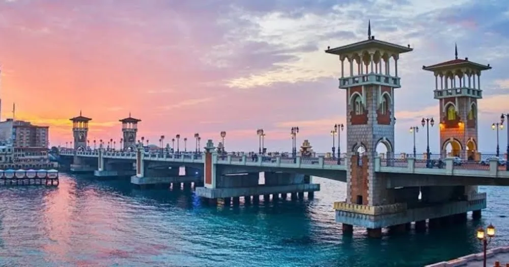 أهمية التعاقد مع شركة تصميم مواقع في الاسكندرية