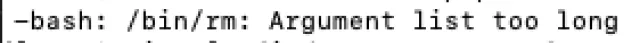 [Fix] /bin/rm: Argument list too long