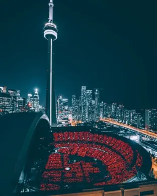 What is The top web development in Canada of web development companies in Canada