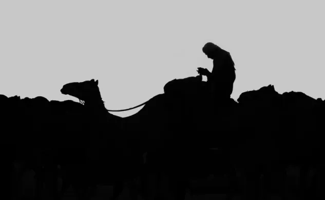 أفضل شركة تصميم مواقع في السعودية