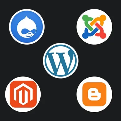 The most popular CMS in 2019