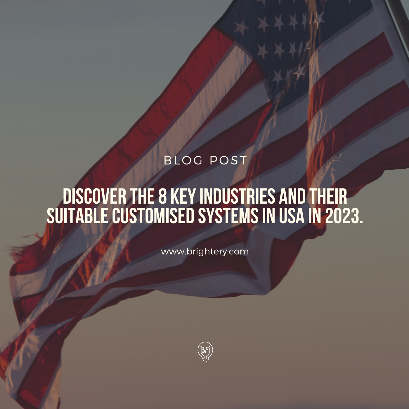 Discover the 8 key industries and their suitable customised systems in USA in 2023.