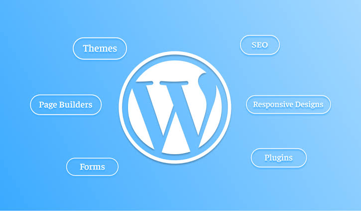 WordPress Development Company | Custom Websites, Plugins & WooCommerce