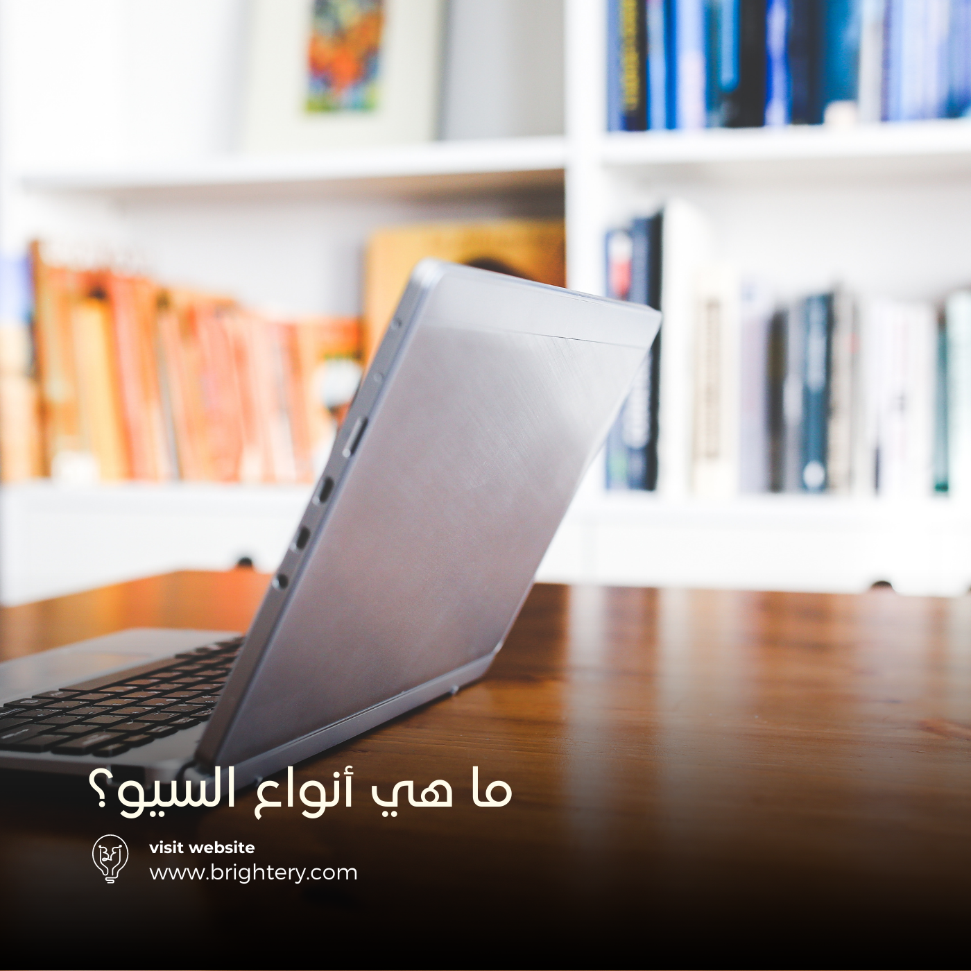 ما هي أنواع السيو؟