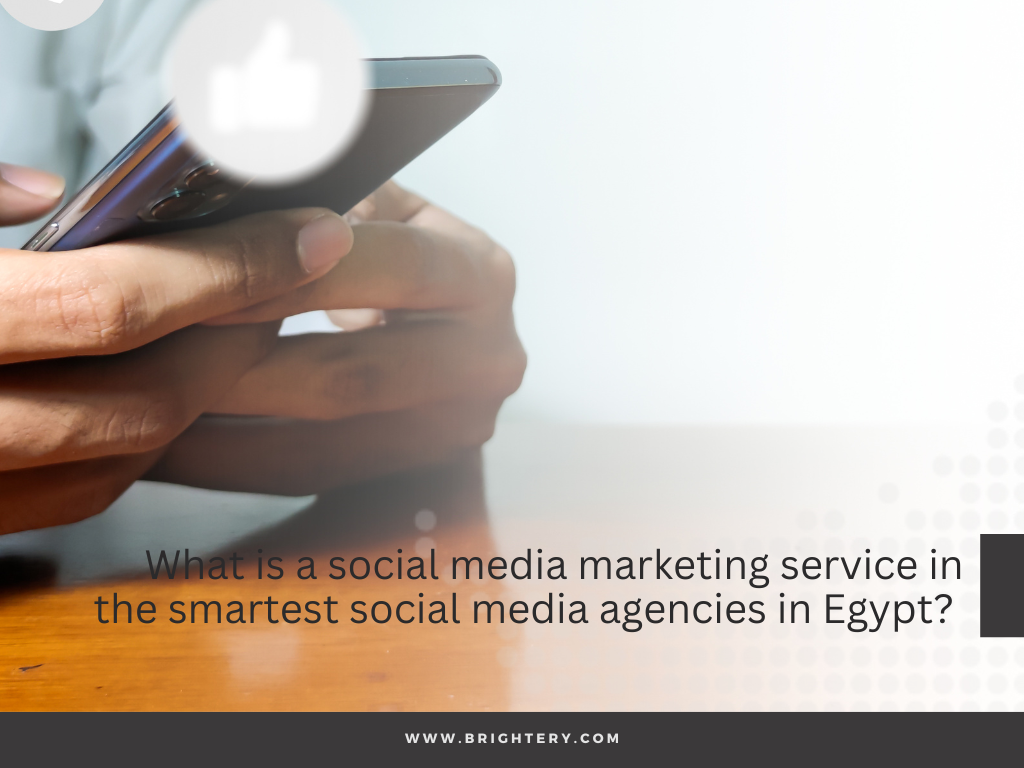 What services can the social media agencies in Egypt provide for marketing?
