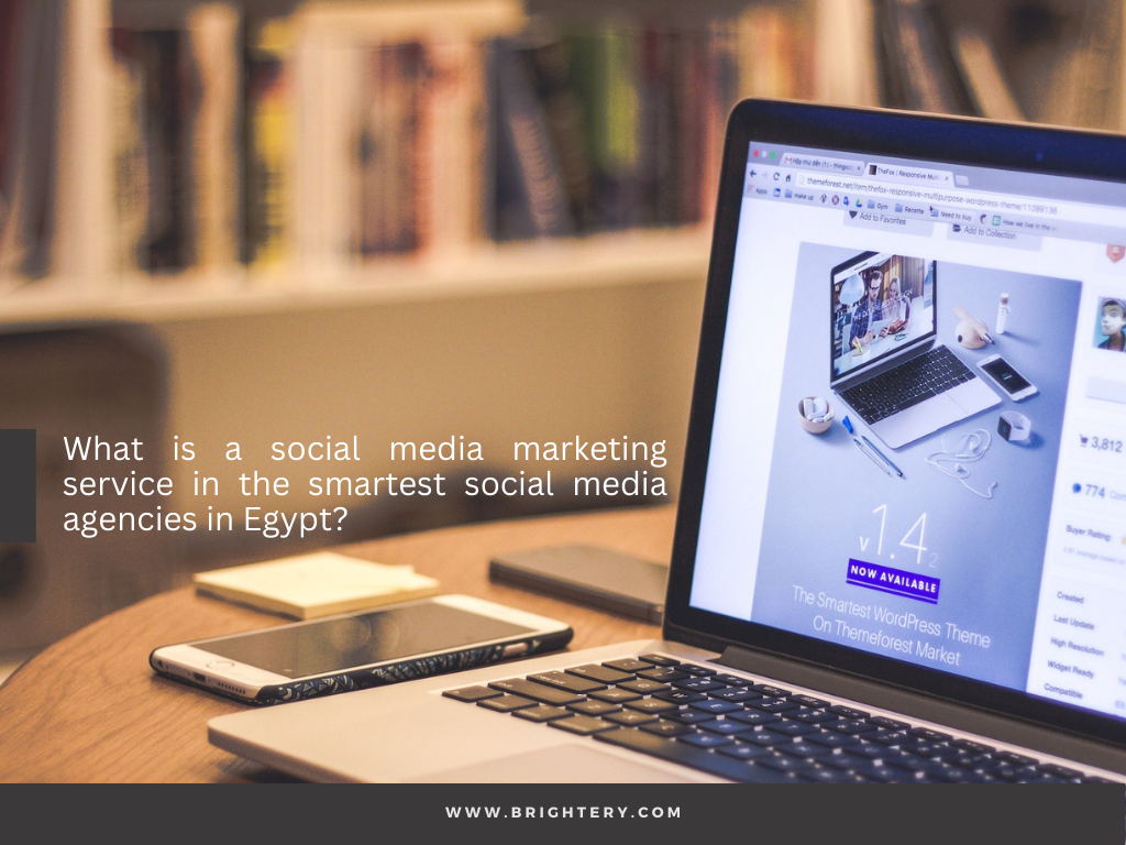 What are the website maintenance services a firm can provide you?