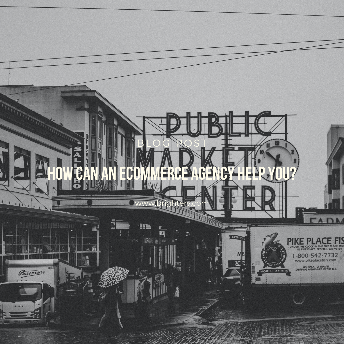 How can an eCommerce agency help you?