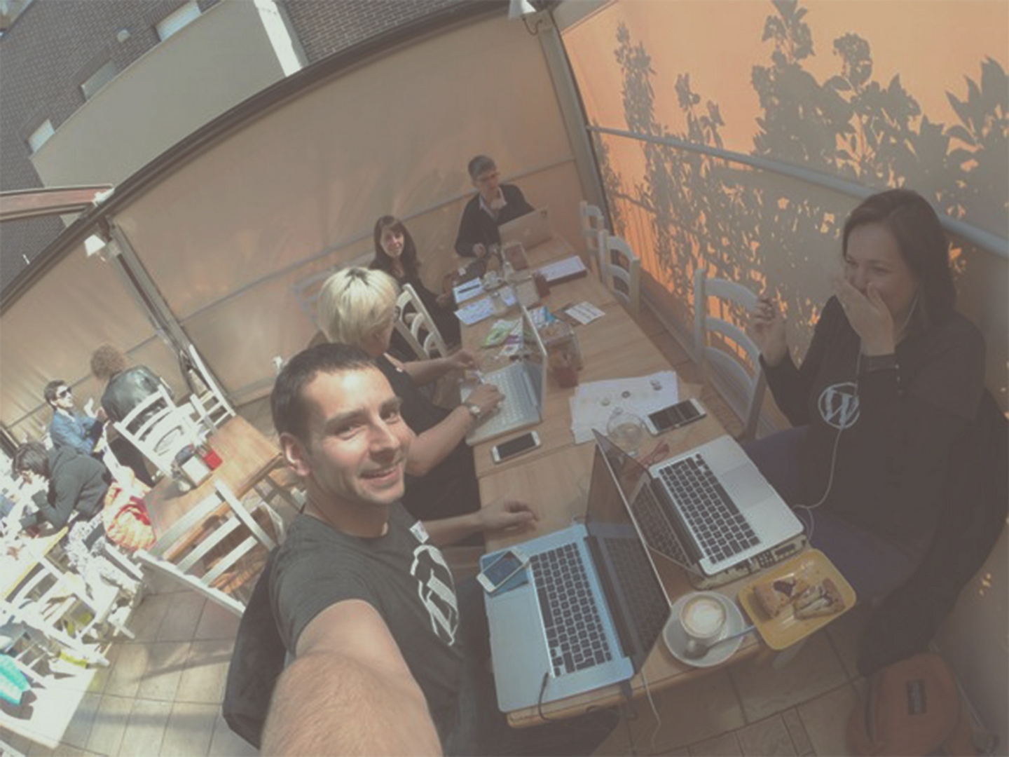 WordPress provided more than 62 languages